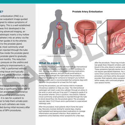 8603-sir_PIB_PAE_SamplePage_02.png