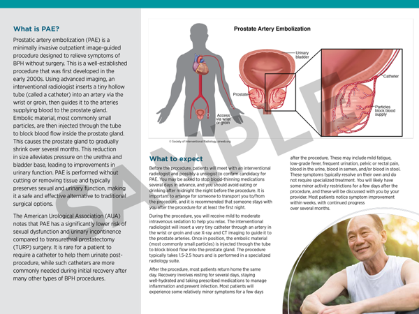 8603-sir_PIB_PAE_SamplePage_02.png